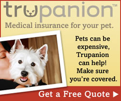 Trupanion pet insurance