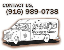 vet wagon